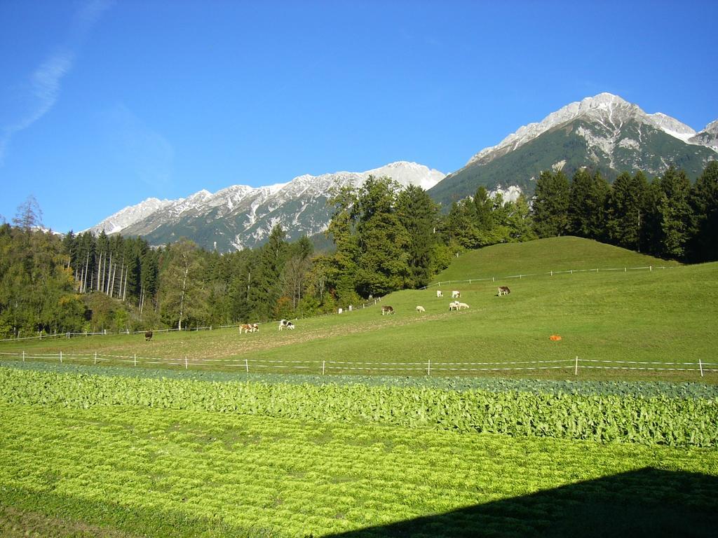 Apartments Karlhof Innsbruck Ngoại thất bức ảnh